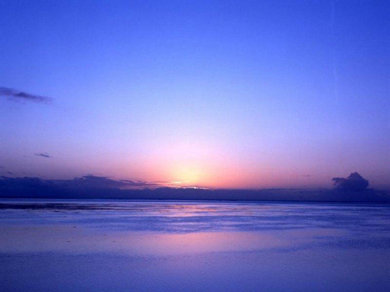savanah-ocean-22.jpg